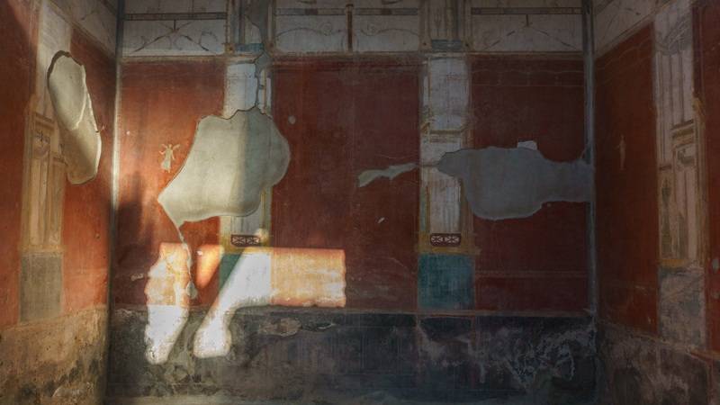 FULLONICA DE STEPHANUS-REGIÓN I - AI VOICE