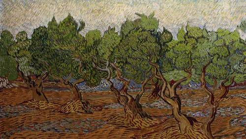 MUSÉE VAN GOGH, Saint Remy