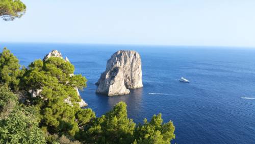 CAPRI, Présentation