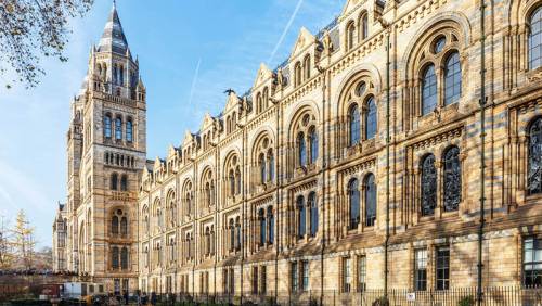 NATURAL HISTORY MUSEUM, Introduction