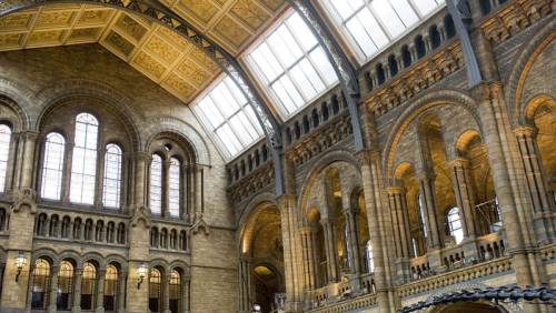 NATURAL HISTORY MUSEUM, Visita