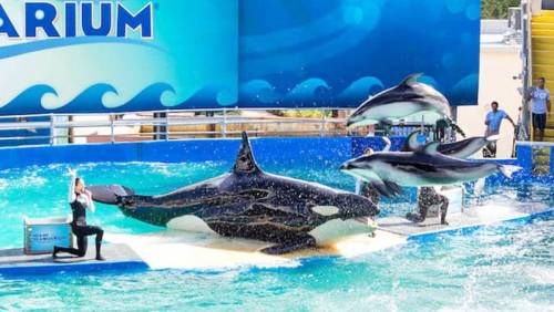 SEAQUARIUM