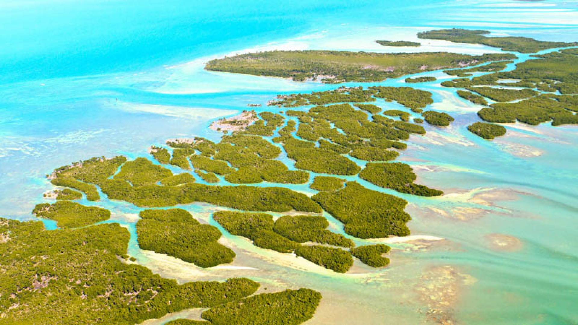 佛罗里达礁岛群, 上群岛