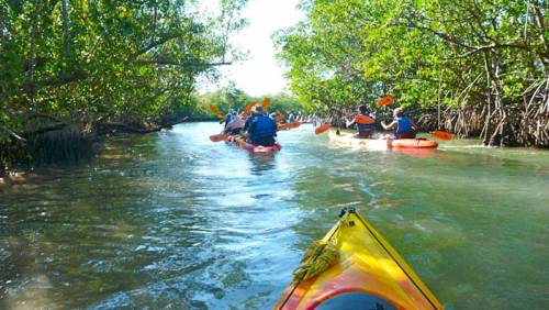 OLETA RIVER STATE PARK, Oleta River State Park