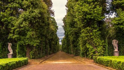 BOSQUE REAL DE CAPODIMONTE, Presentación - Ai Voice