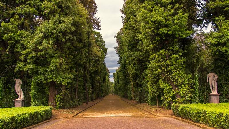 PRESENTACIÓN - AI VOICE