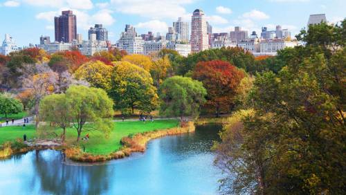 CENTRAL PARK, Introduction