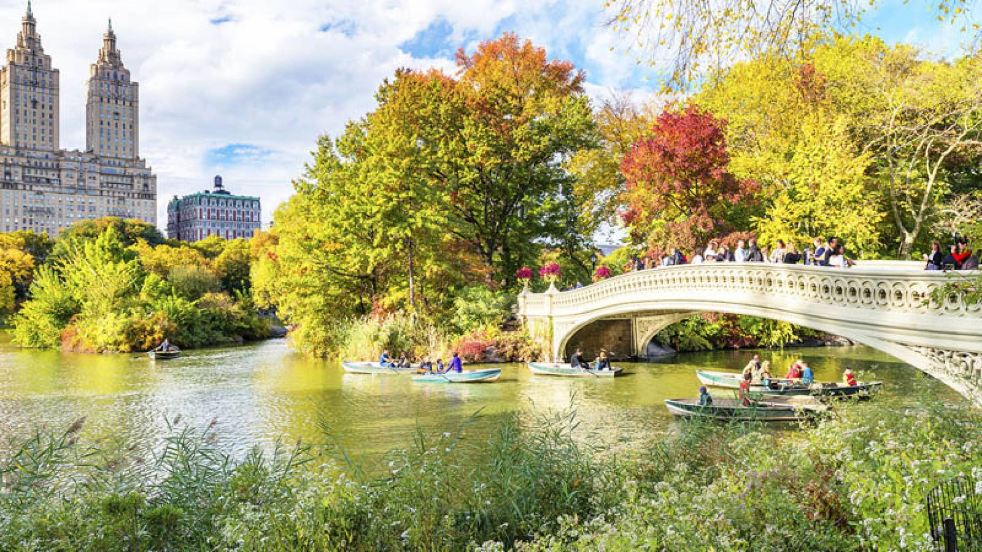 CENTRAL PARK, Nördlicher Und Zentraler Teil