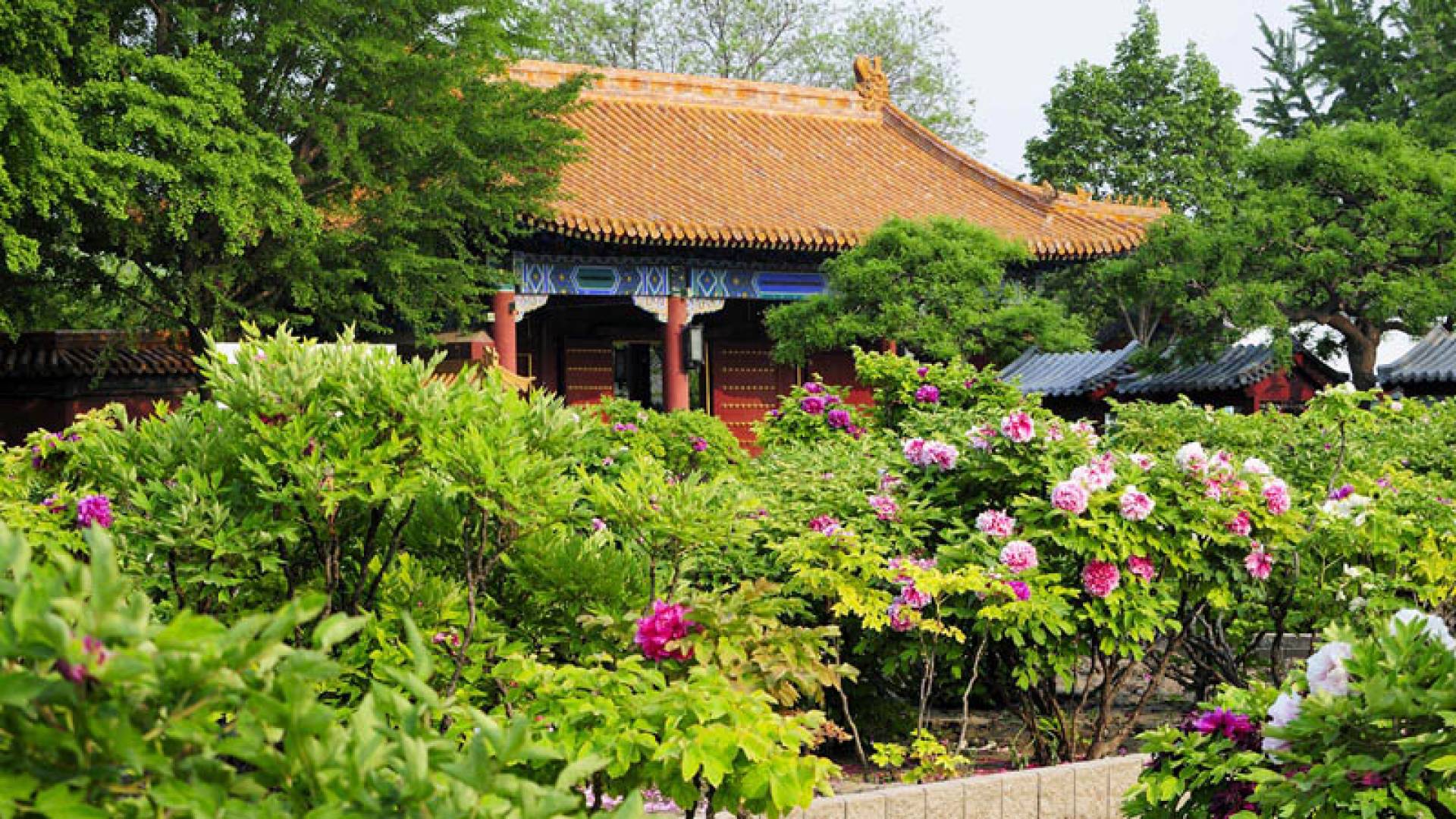 PARQUE JINGSHAN, Parque Jingshan