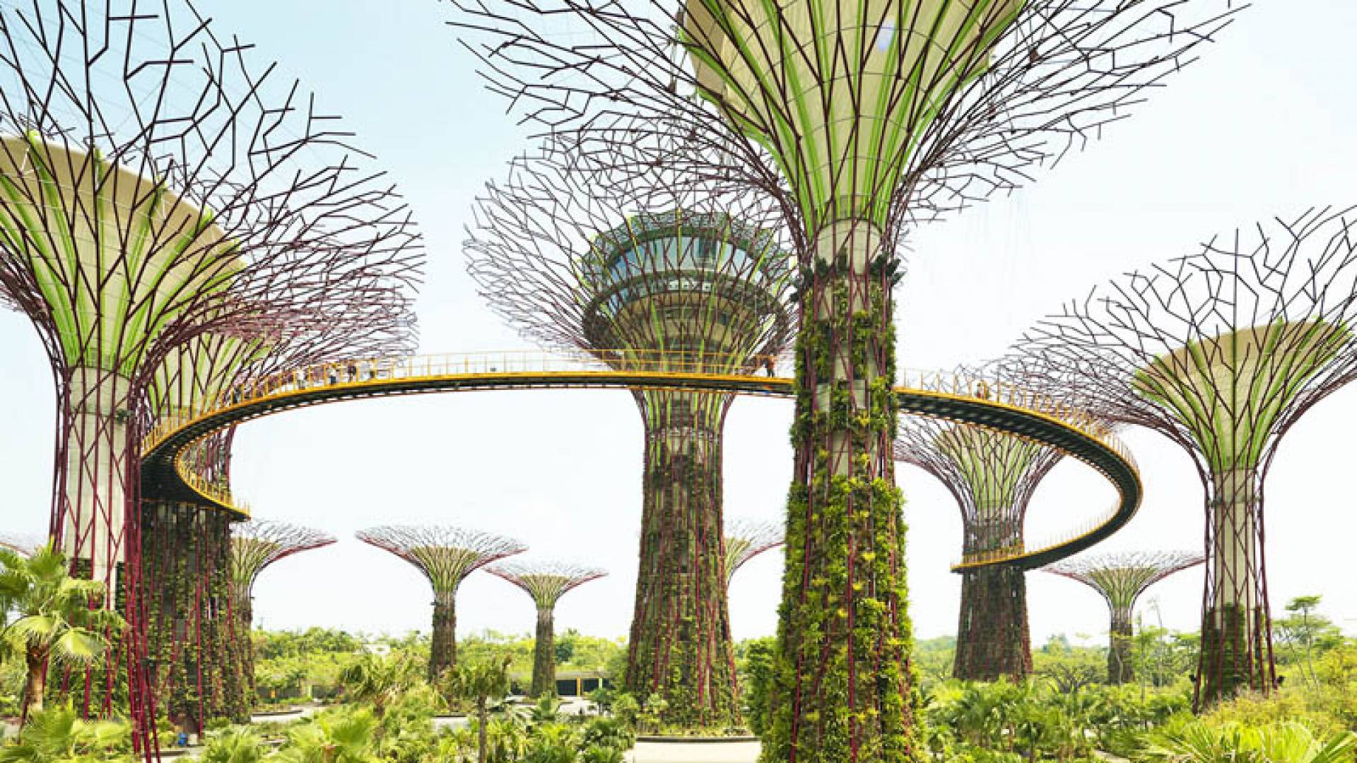 GARDEN BY THE BAY, Introduction