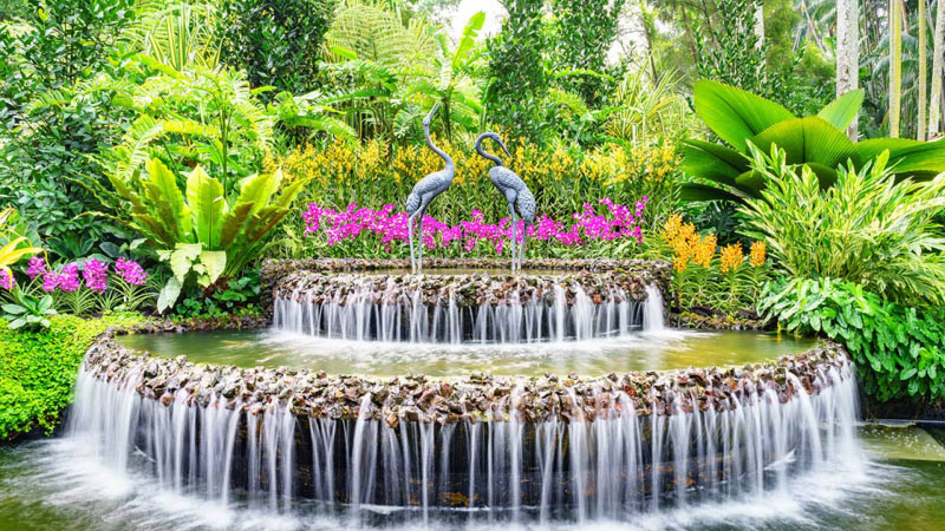SINGAPORE BOTANIC GARDENS, Singapore Botanic Gardens