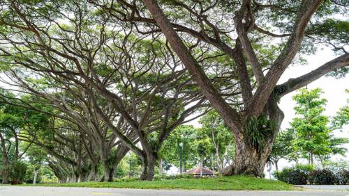 EAST COAST PARK, East Coast Park