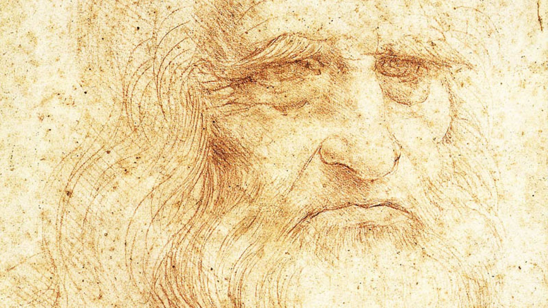 POLO REALE, Royal Library Leonardo Self-Portrait