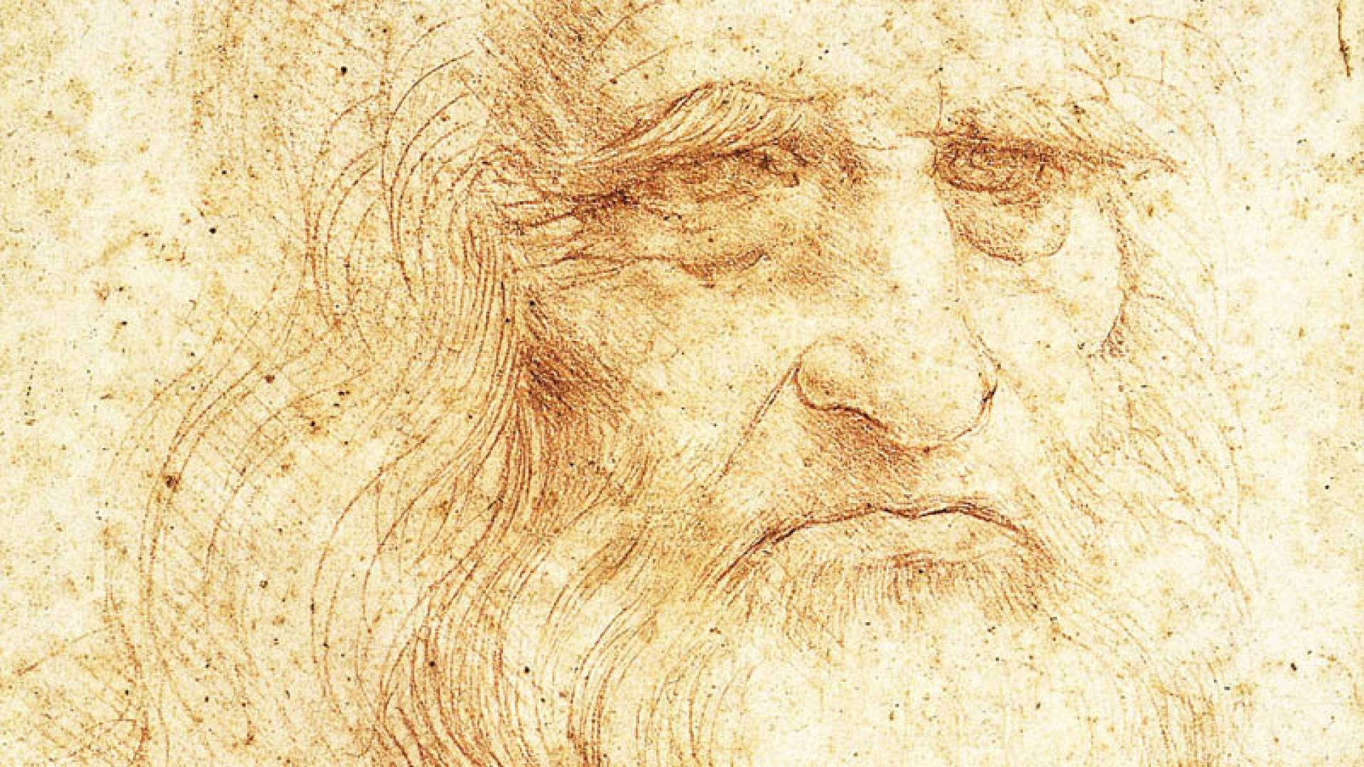 PÔLE ROYAL, Bibliothèque Royale Et Autoportrait Léonard De Vinci