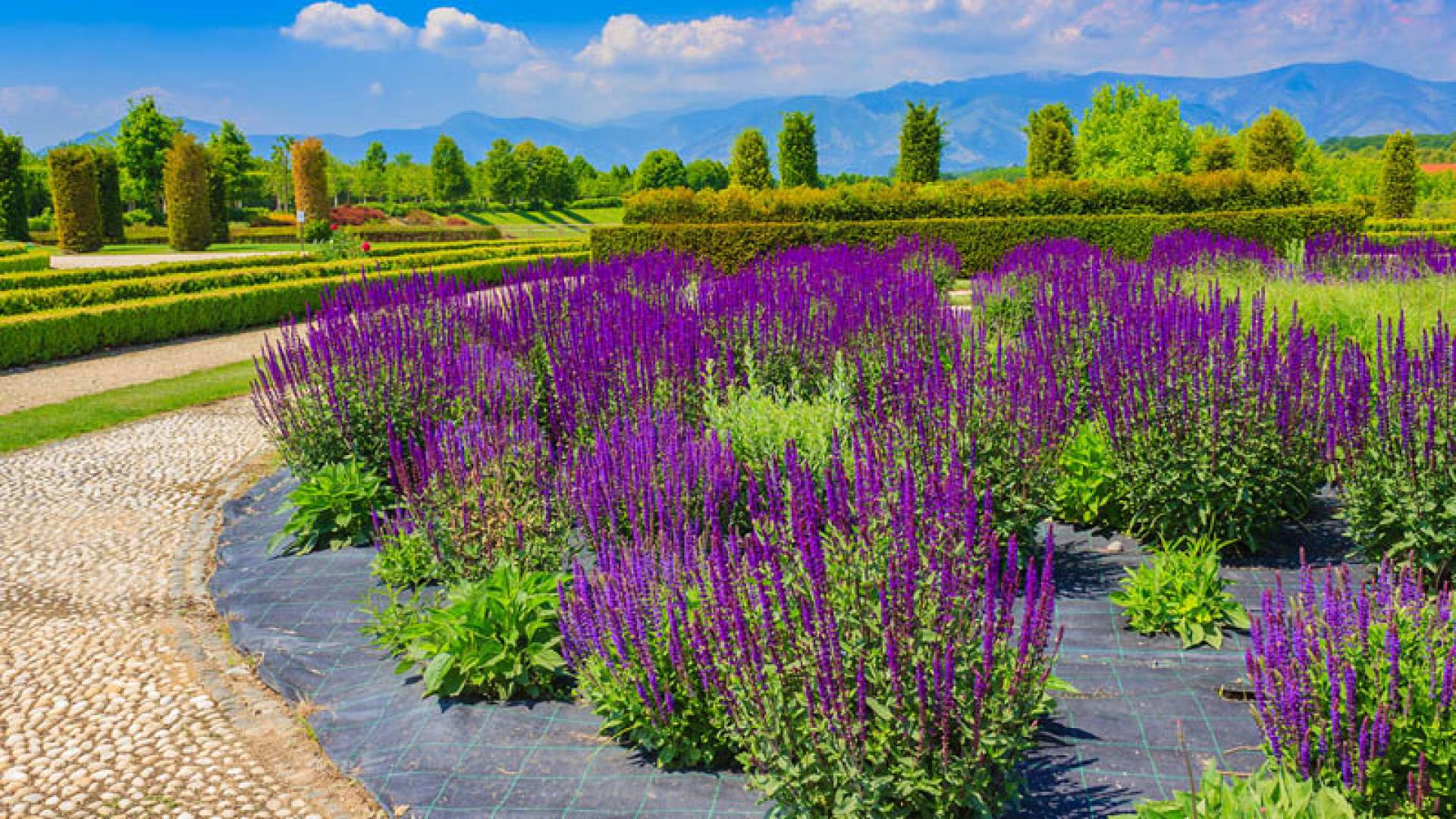 VENARIA REALE, Jardins