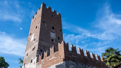 TORRE VANGA, Presentación - Ai Voice