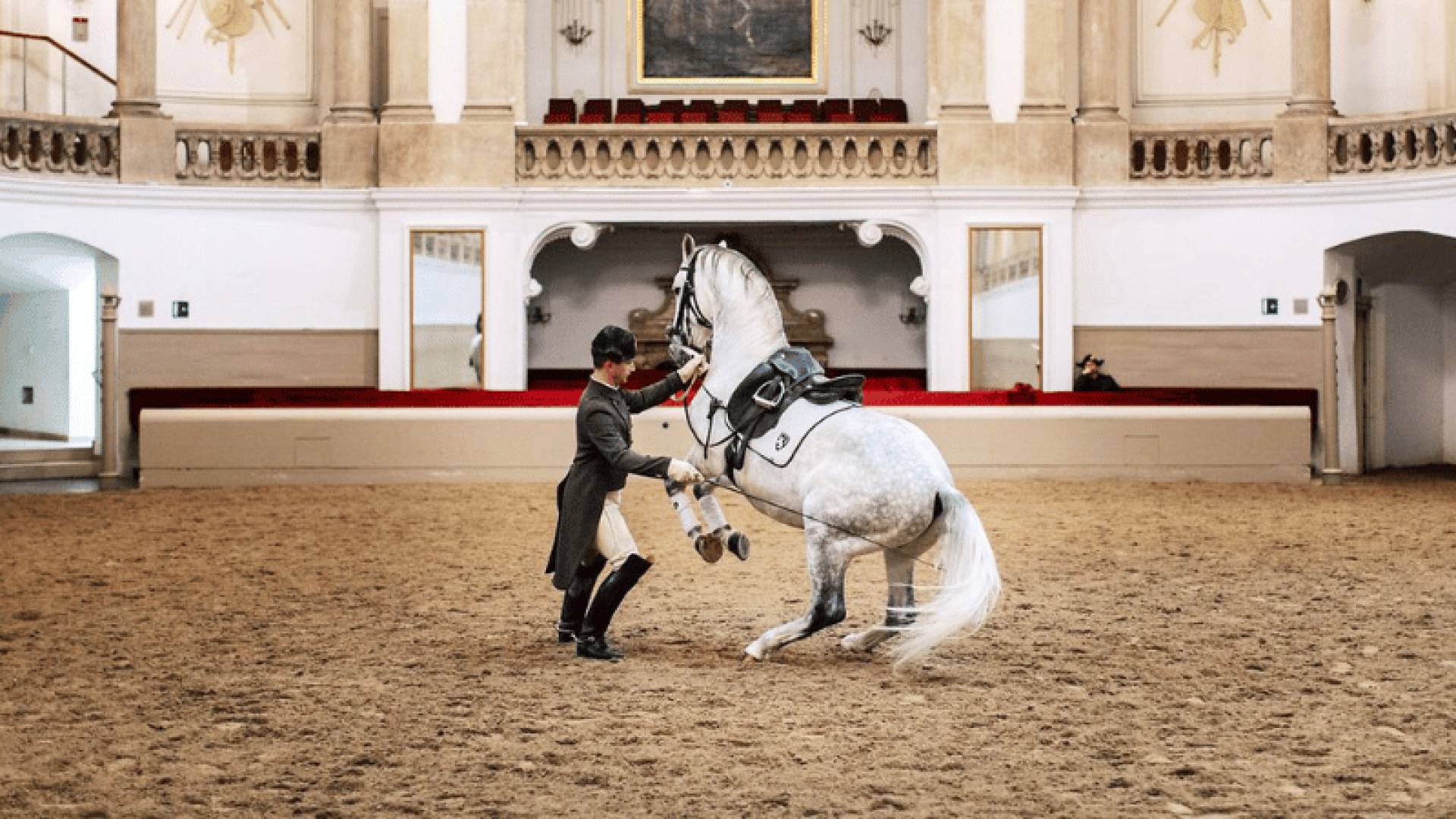 HOFBURG, Escuela De Equitación