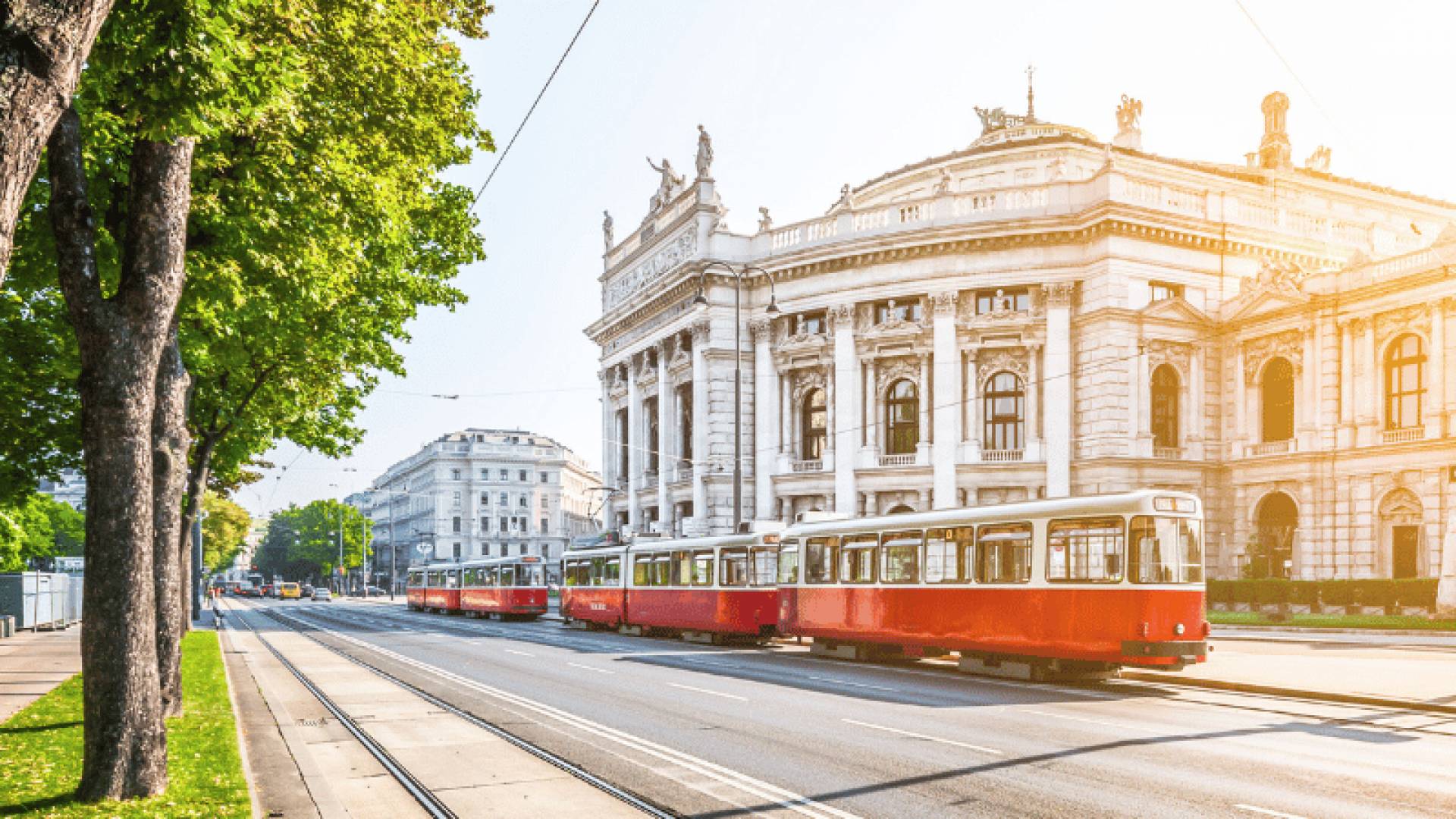 VIENNA INTRODUCTION, The Ring